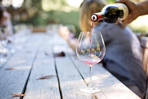 Nydelsen af Bisgaard Vin: En rejse gennem kvalitetsvine